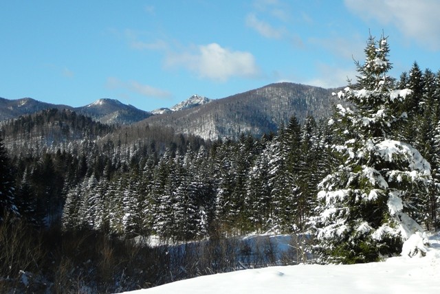 Gorski kotar